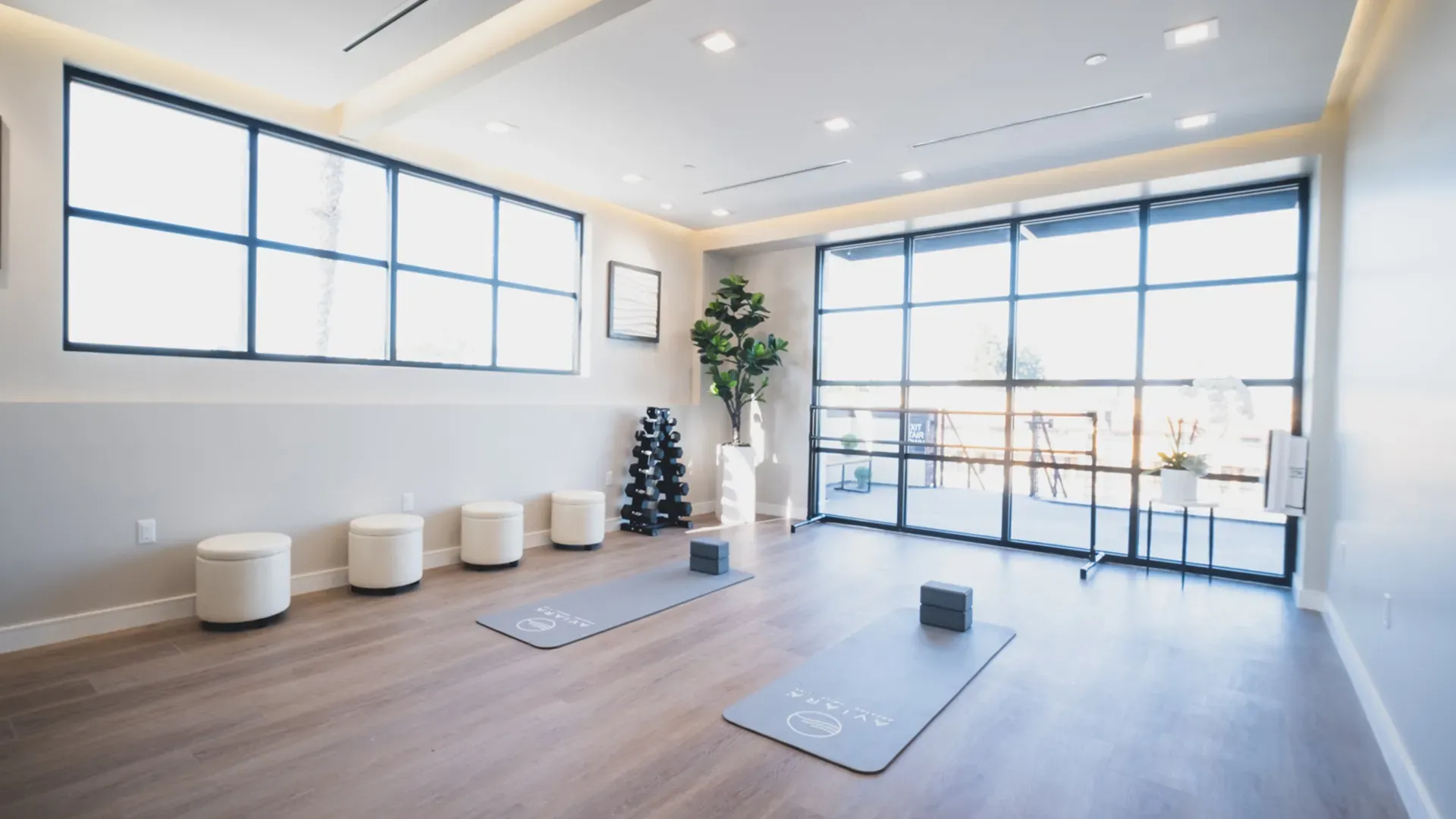 The movement studio, with mats, blocks and tall windows onto the terrace