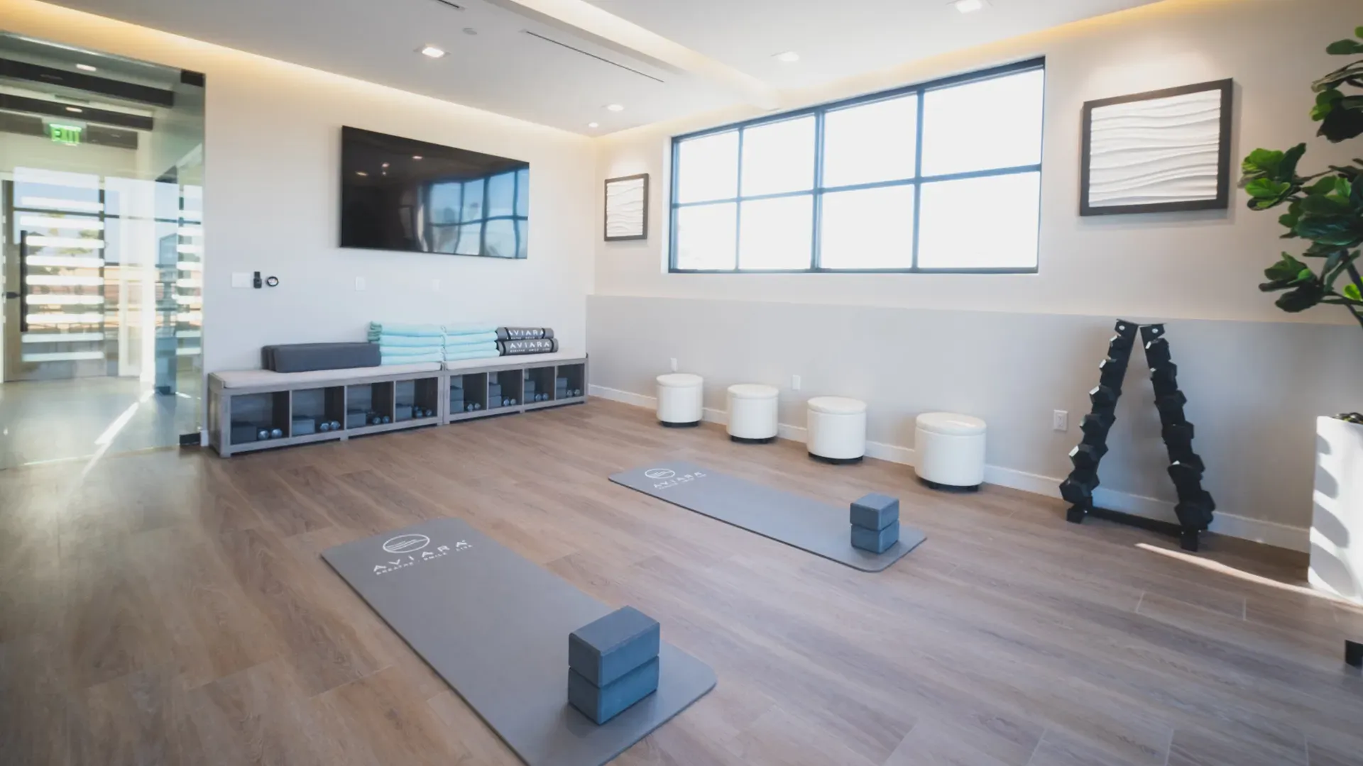 The movement studio, with mats, blocks and benches along the wall